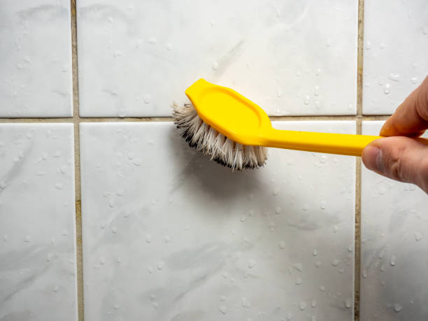 Best Mold Removal Company Near Me  in Ruleville, MS