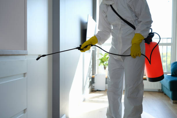 Best Mold Cleaning Services  in Ruleville, MS