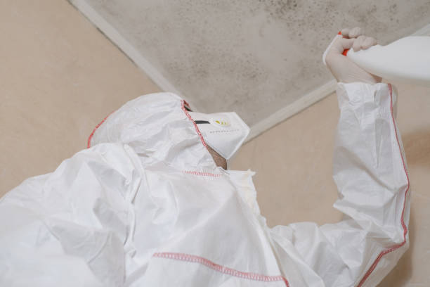 Water Damage Restoration in Ruleville, MS
