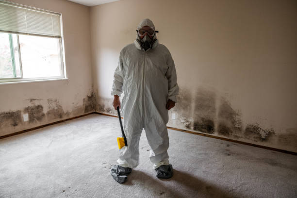 Crawl Space Mold Removal in Ruleville, MS